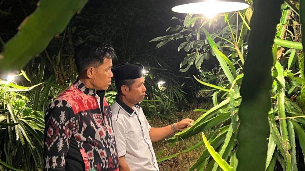 Dok. PLN