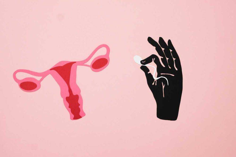 ilustrasi sistem reproduksi (pexels.com/Nadezhda Moryak)