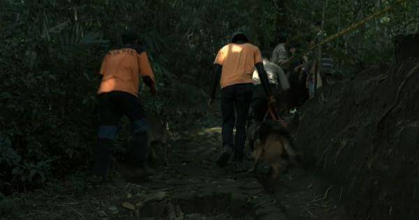 Tim SAR diterjunkan untuk mencari Kinan ( Dok. Screenplay Films / Jailangkung 3 )