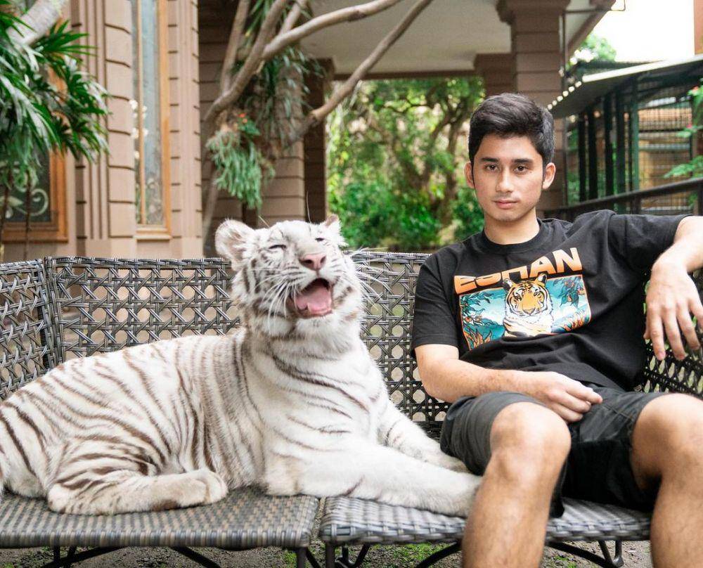 Potret Alshad dengan Harimaunya (instagram.com/alshadahmad)
