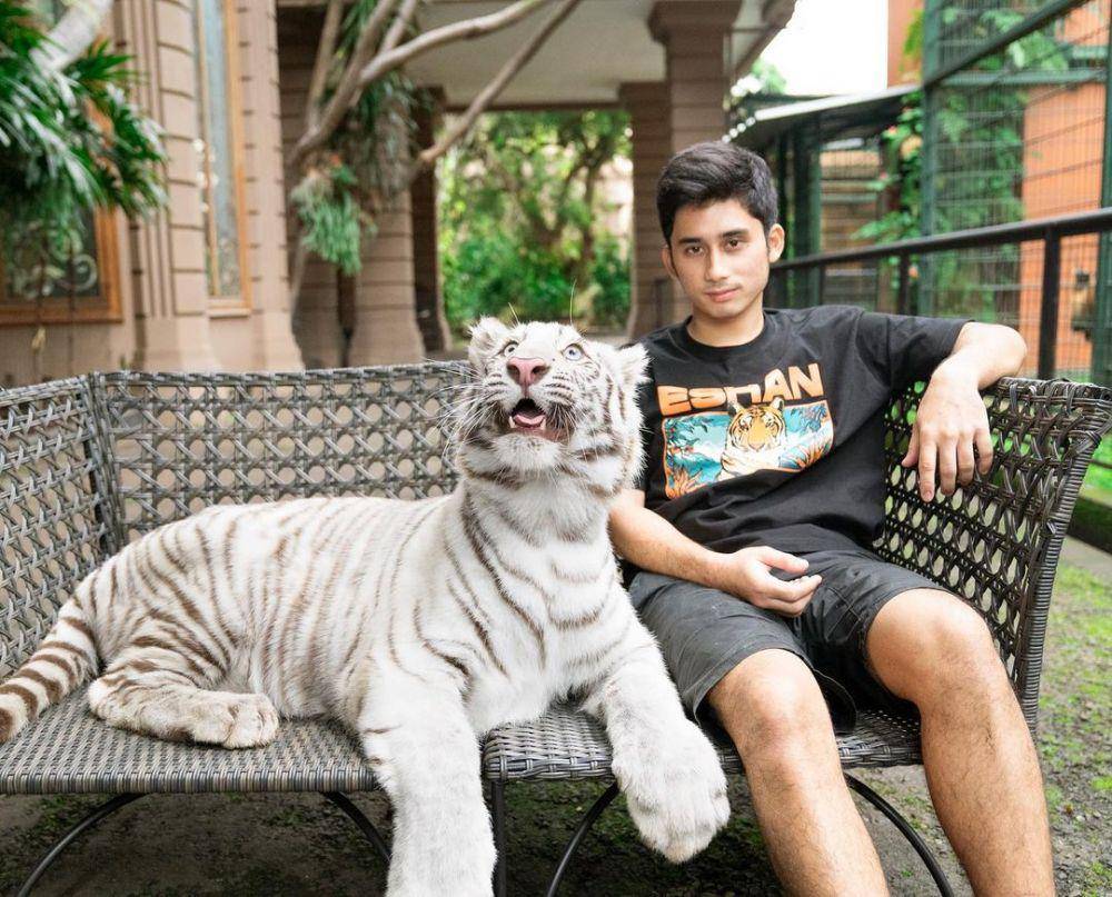 Potret Alshad dengan Harimaunya (instagram.com/alshadahmad)