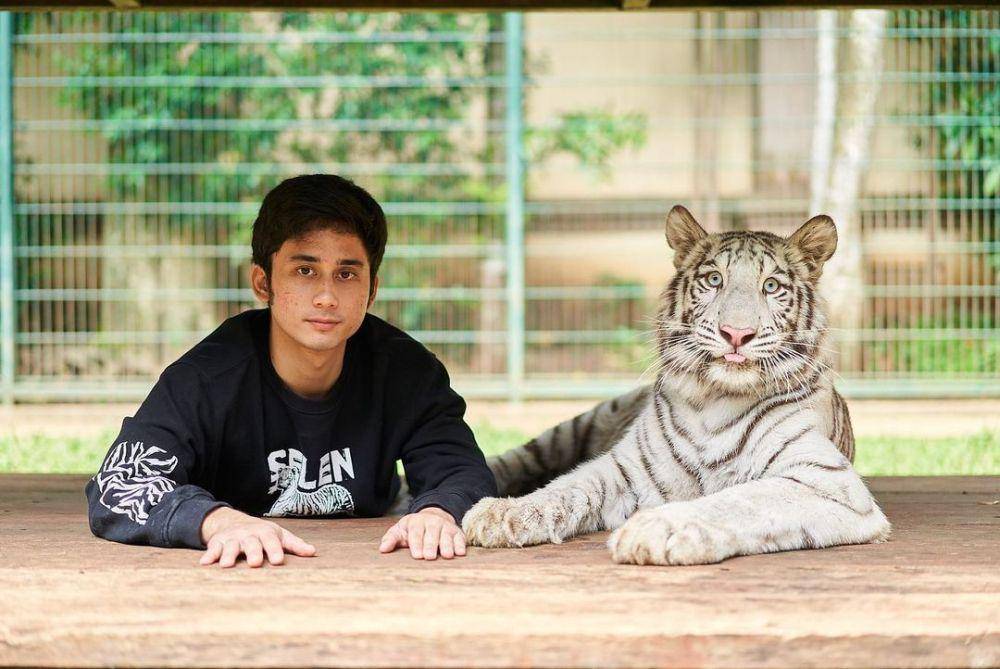 Potret Alshad dengan Harimaunya (instagram.com/alshadahmad)
