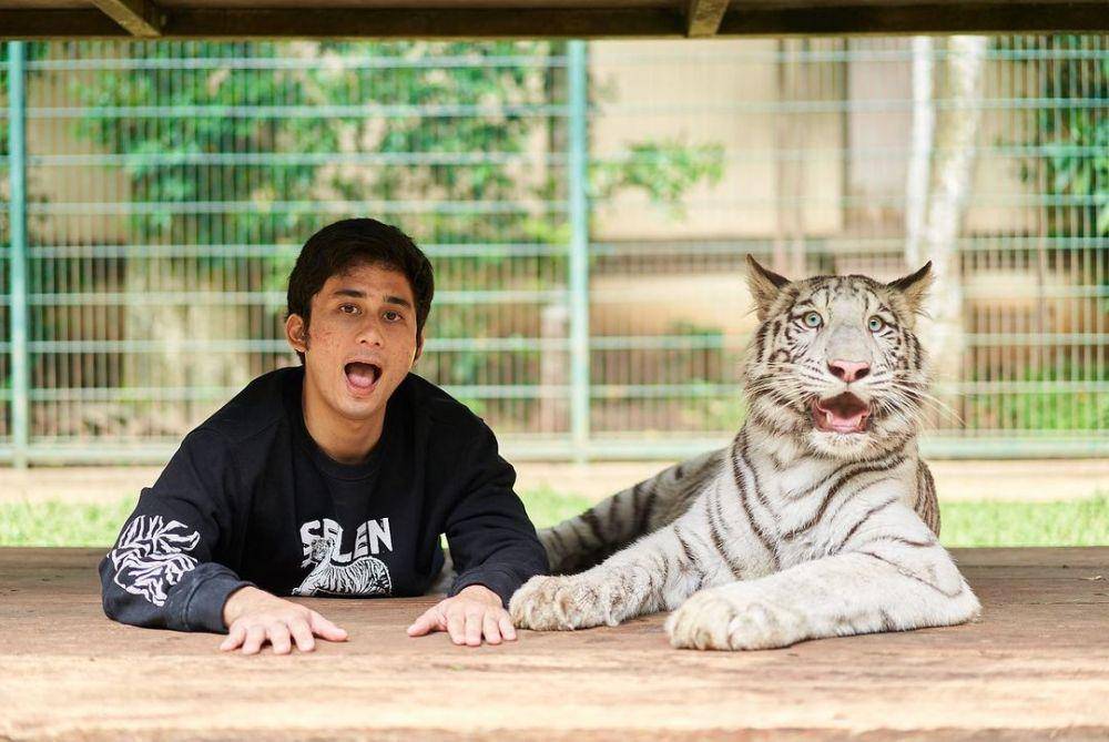 Potret Alshad dengan Harimaunya (instagram.com/alshadahmad)