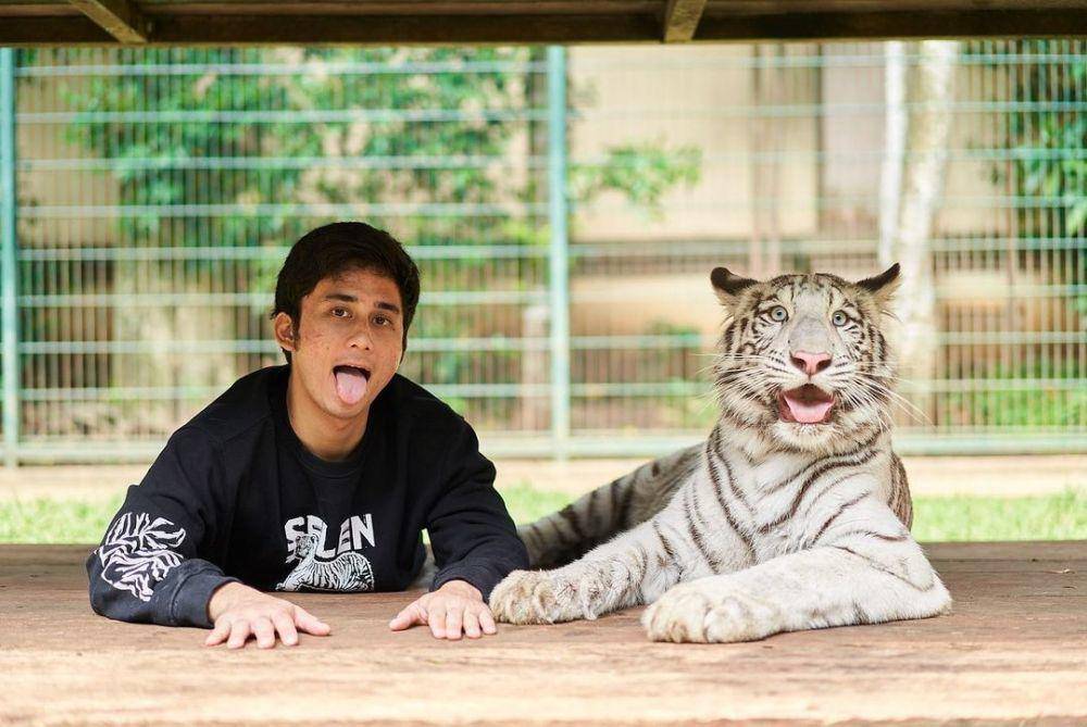 Potret Alshad dengan Harimaunya (instagram.com/alshadahmad)