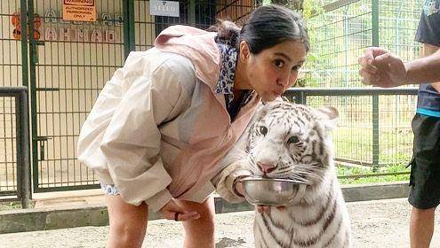 Caca Tengker main dengan harimau Alshad (instagram.com/cacatengker)