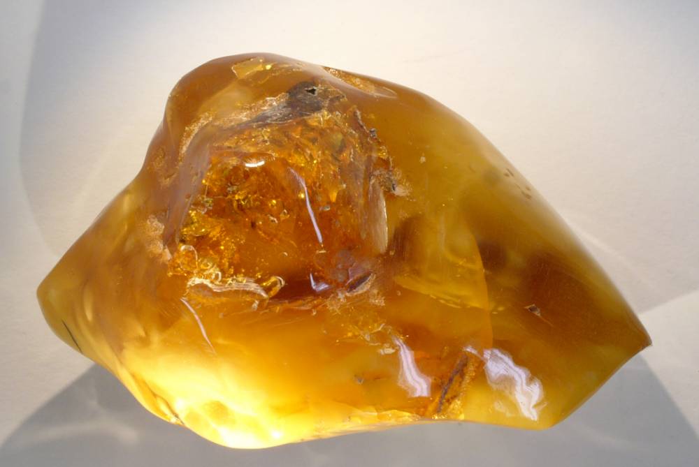 ilustrasi Amber (commons.wikimedia.org/Hannes Grobe)