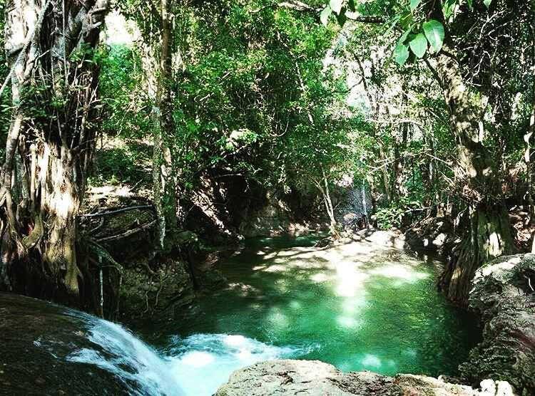 Potret Air Terjun Diwu Mba'i (Instagram.com/hutanindonesia)
