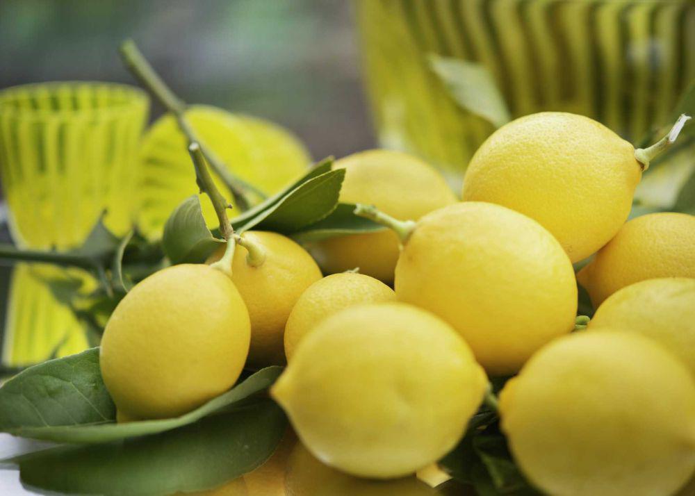 ilustrasi lemon (unsplash.com/@lightupphotos)