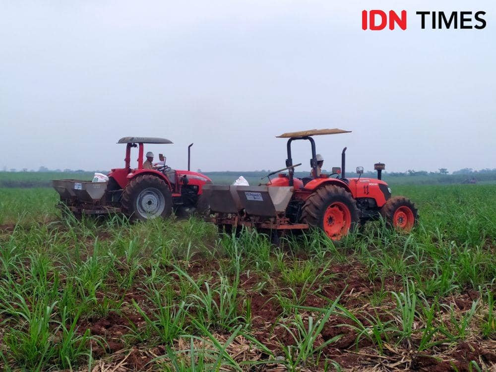 IDN Times/Abdul Halim