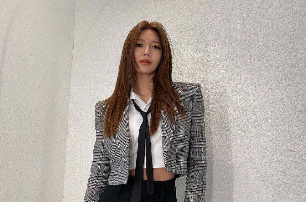 menu diet sehat ala Sooyoung SNSD (instagram.com/sooyoungchoi)