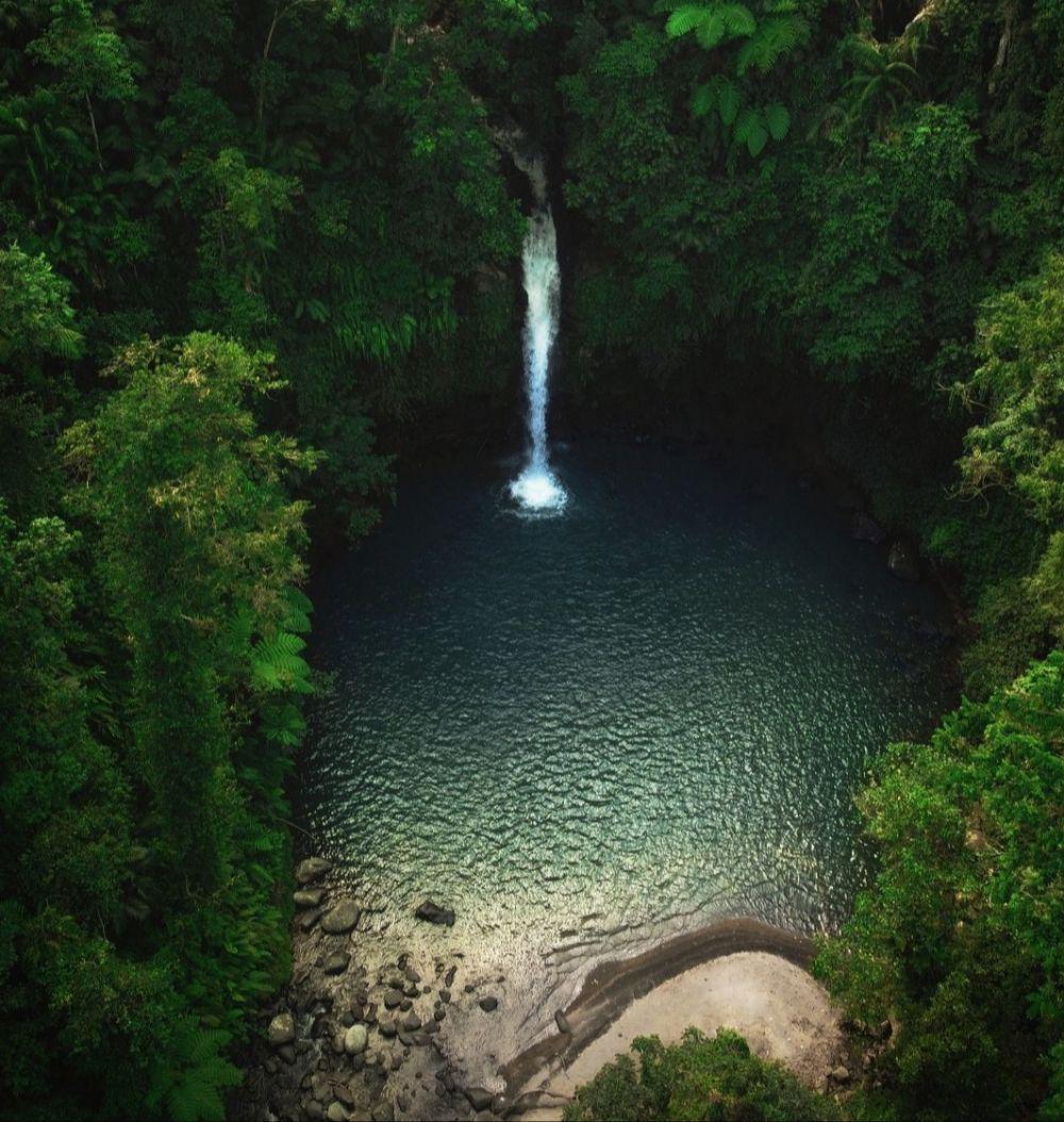 Hutan Lindung Sesaot (instagram.com/ardie_ardiansyah.s)