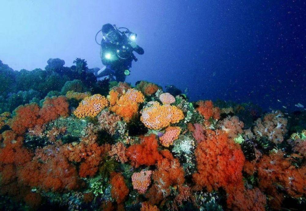 Teluk Belongas (instagram.com/wonderful.indonesiaku)