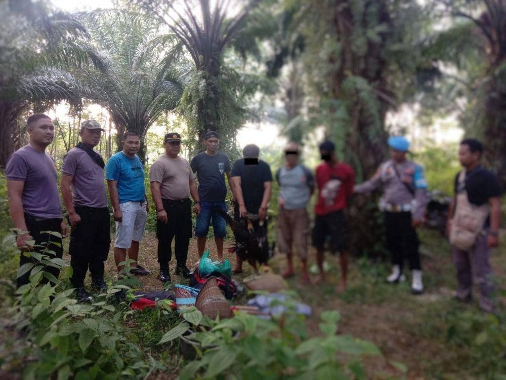 Polres Way Kanan Bongkar Perjudian Sabung Ayam, 3 Pelaku Ditangkap!