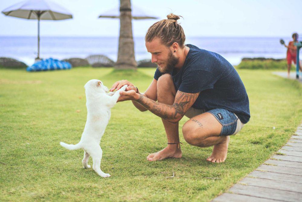 5 Penyebab Anjing Belum Merasa Nyaman saat Diadopsi Olehmu