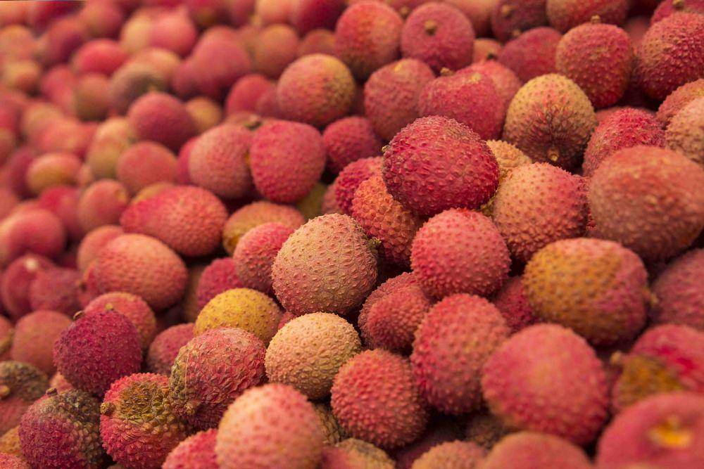 ilustrasi hasil panen buah leci (pexels.com/Pixabay)