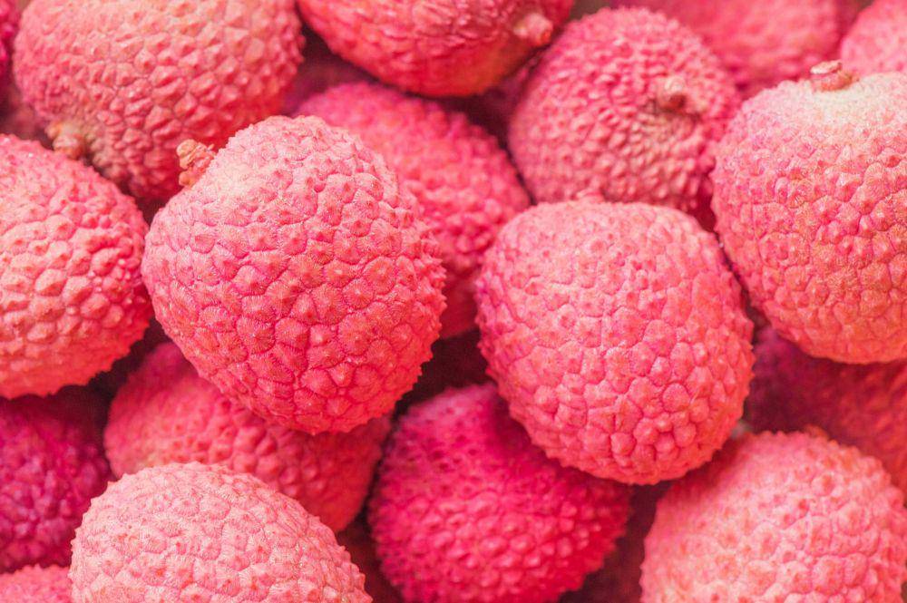 ilustrasi cara menanam buah leci (pexels.com/Pixabay)