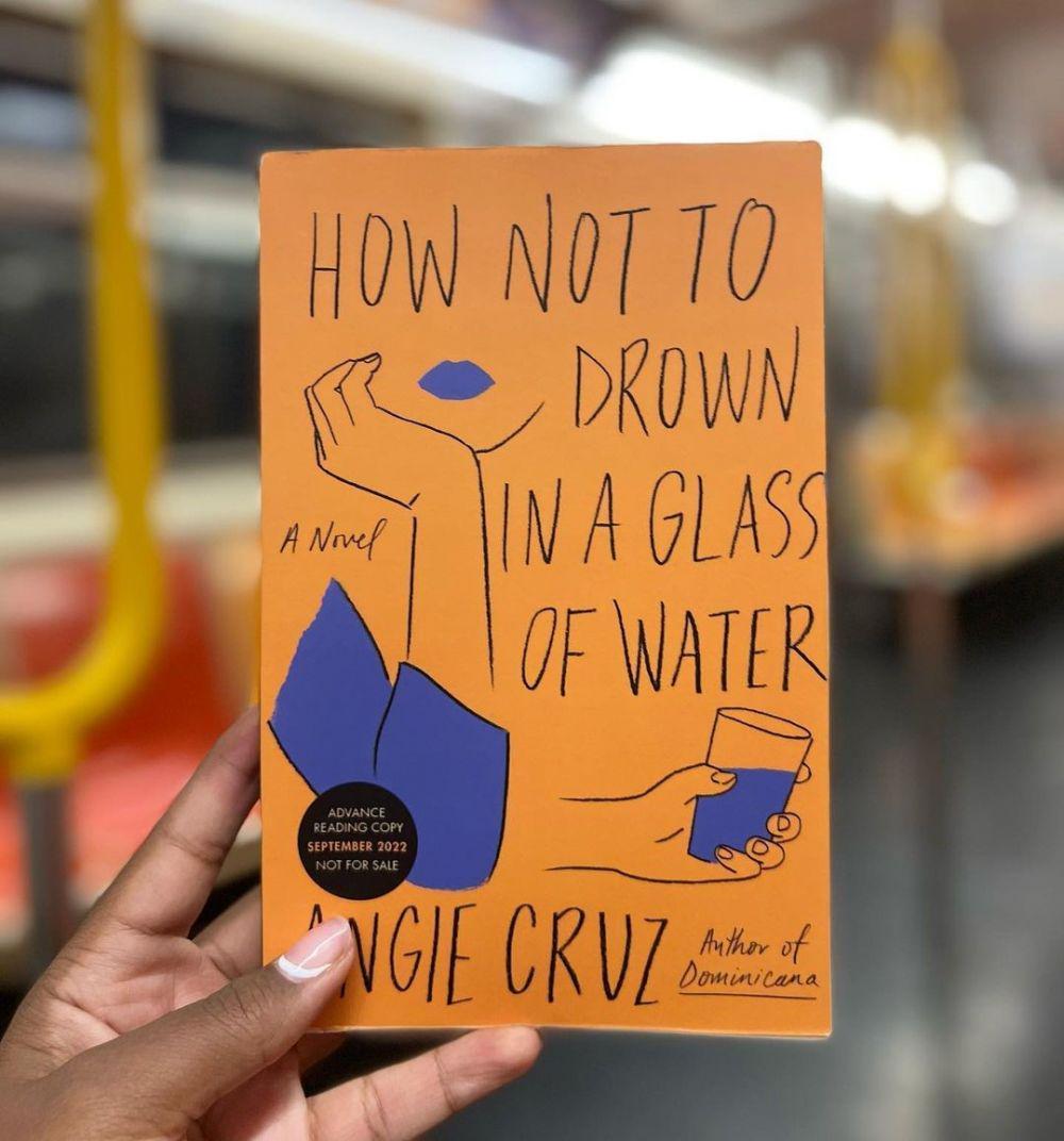 novel How Not to Drown in Glass of Water (instagram.com/thebronxisreading)