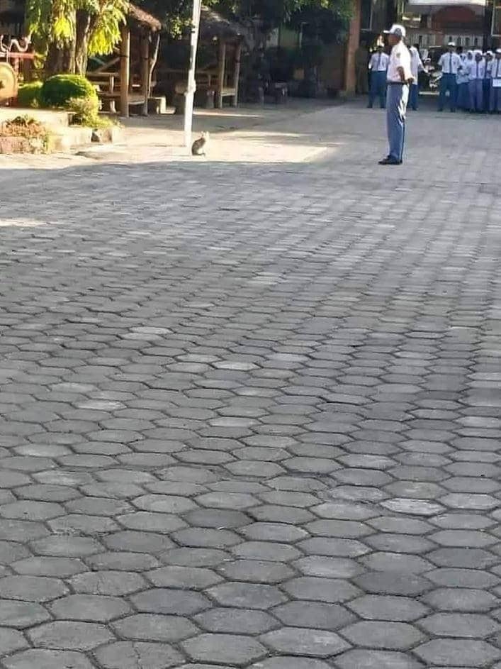 kejadian tak terduga saat upacara (twitter.com/recehtapisayng)