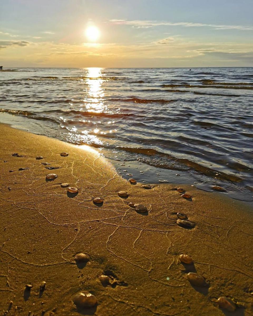Vakarbulli Beach (instagram.com/noncezkelcez)