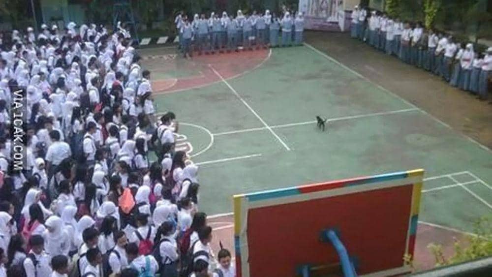 kejadian tak terduga saat upacara (1cak.com)