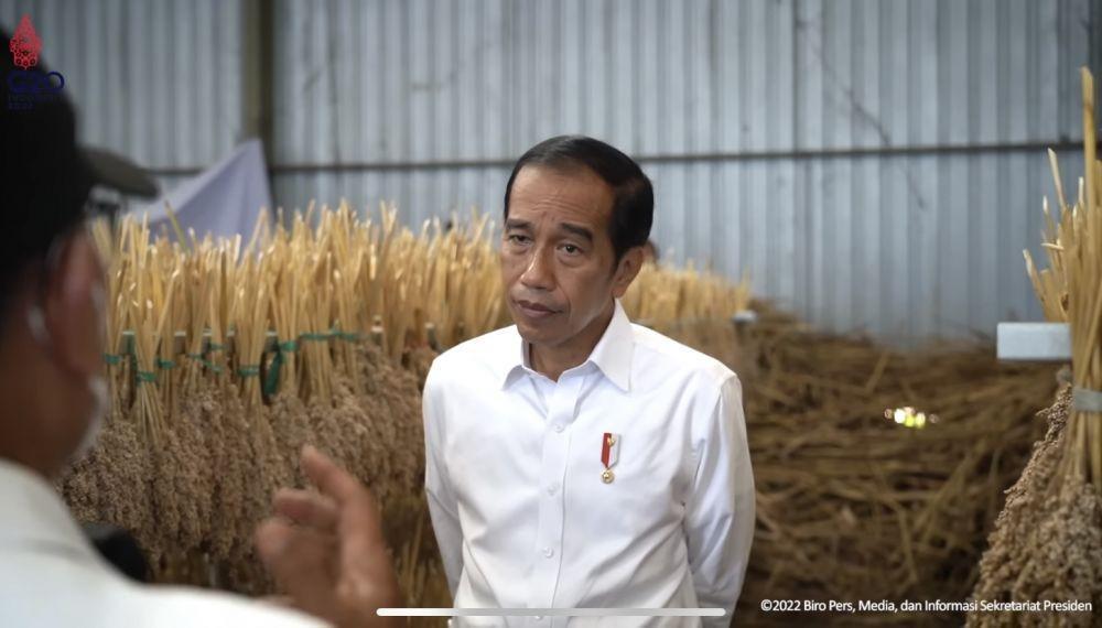 Jokowi Ajak KADIN Tanam Sorgum di Nusa Tenggara Timur
