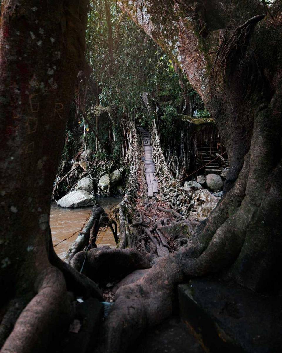 Jembatan Akar Bayang (instagram.com/ricky_jalanjalan)