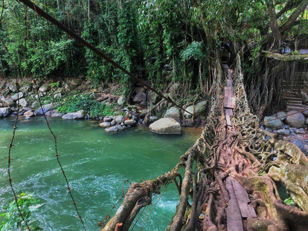10 Potret Jembatan Akar Bayang, Spot Wisata Alam Menawan di Sumbar