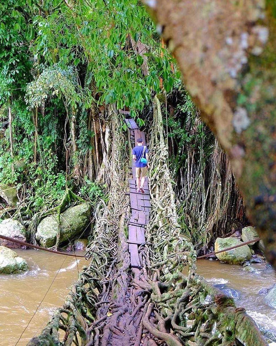 Jembatan Akar Bayang (instagram.com/indoflashlight)