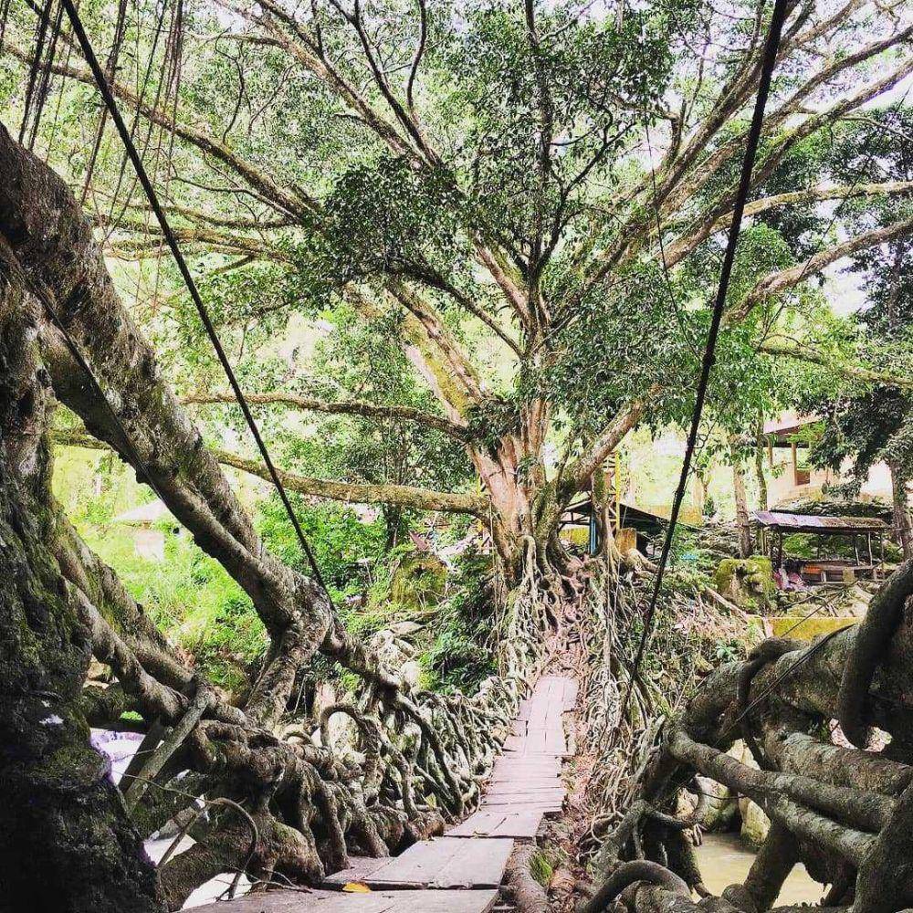 Jembatan Akar Bayang (instagram.com/objekwisata.sumatrabarat)