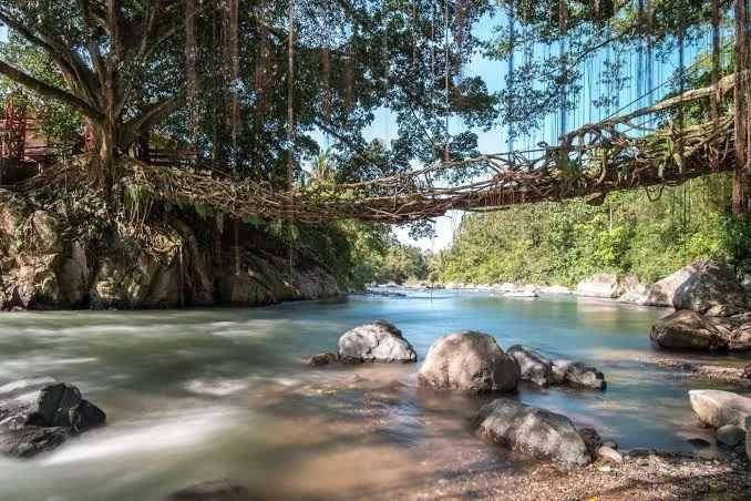 Jembatan Akar Bayang (instagram.com/dunialoka.id)