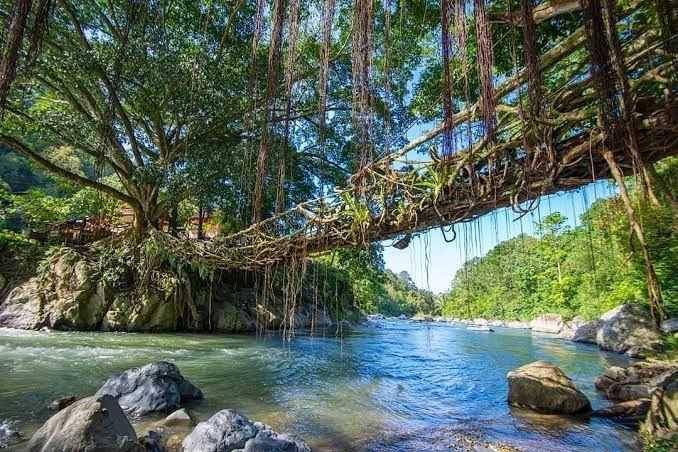 Jembatan Akar Bayang (instagram.com/dunialoka.id)