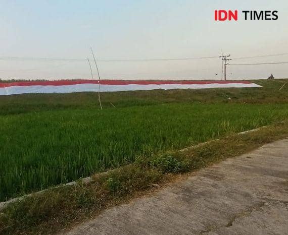 Bendera raksasa dibentangkan di tanggul Sungai Bengawan Solo Desa Mojoasem, Kecamatan Laren, Kabupaten Lamongan. IDN Times/Imron