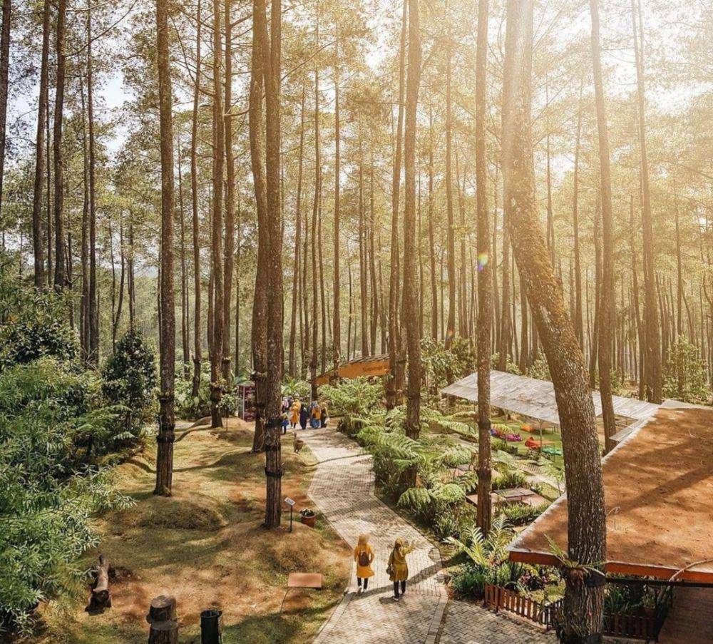 Orchid Forest Cikole (instagram.com/orchidforestcikole)