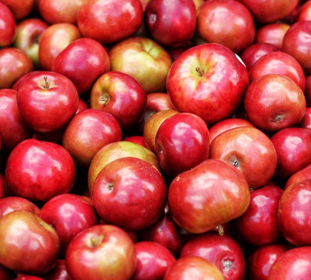 Ilustrasi buah apel. (pexels.com/@margemedia)