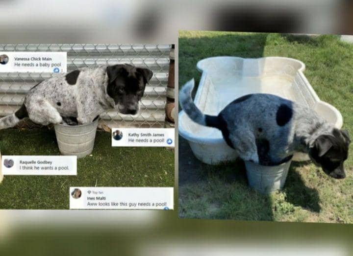 9 Potret Kejadian Lucu Gak Sesuai Harapan, Gak Terduga Banget