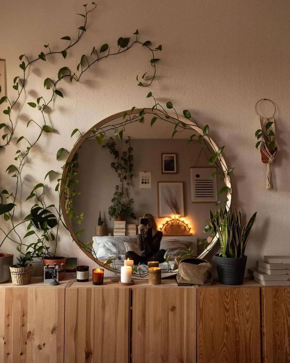 ilustrasi tanaman indoor (https://www.instagram.com/indoorjungle22/)