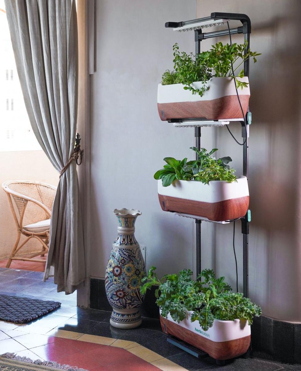 ilustrasi indoor garden (unsplash.com/@altifarm)