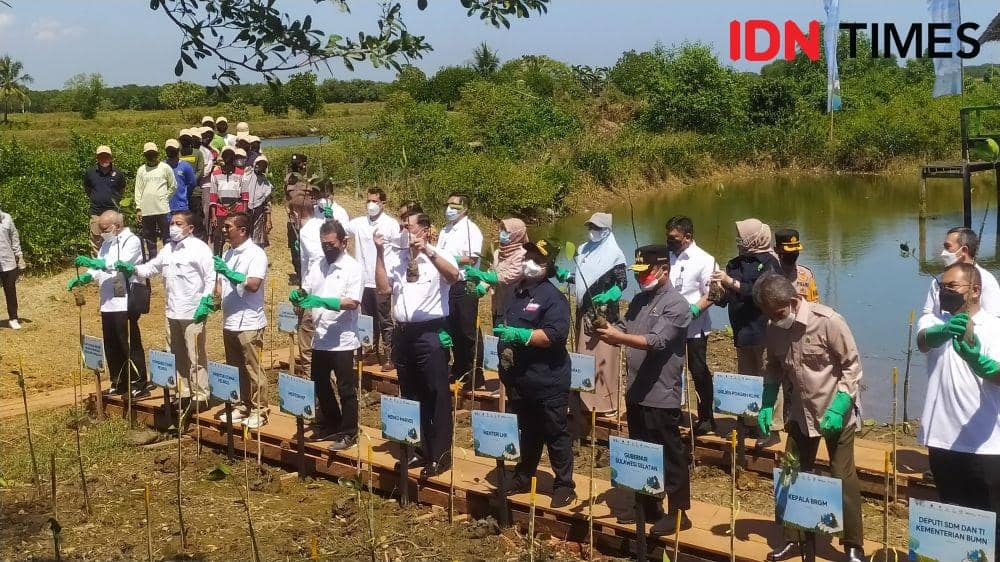 Penanaman Mangrove di Maros, Luhut Sebut Bukan Sekadar Seremoni