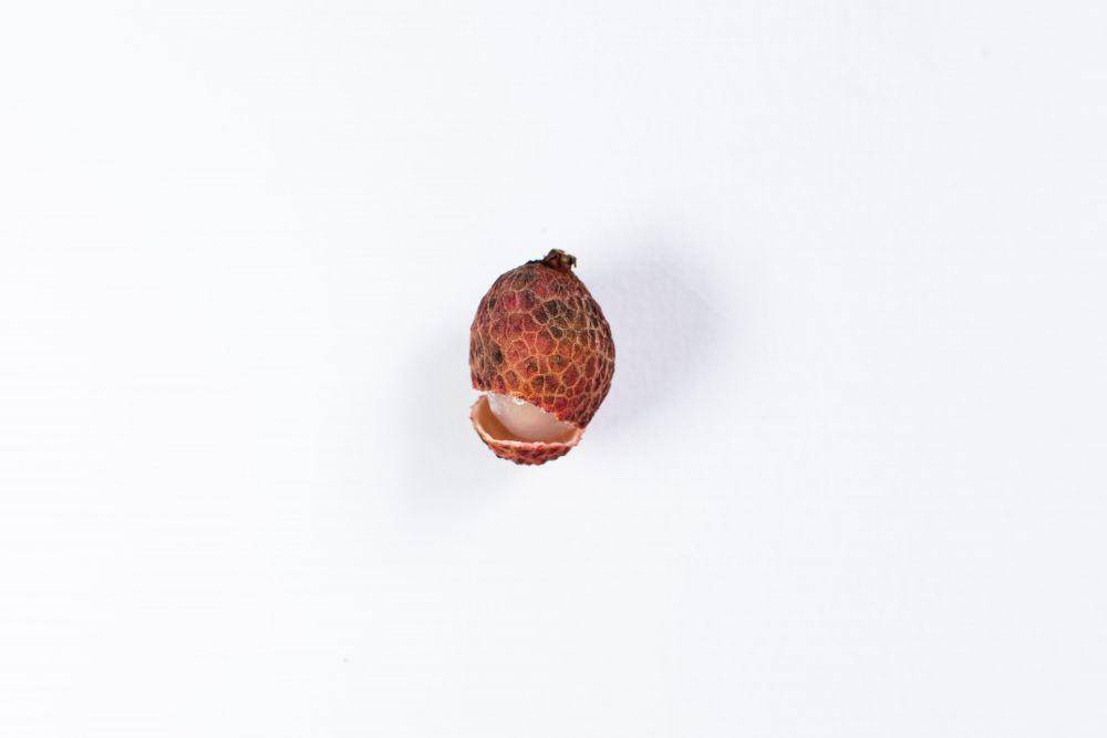 ilustrasi bibit rambutan berkualitas (pexels.com/Orsys _tography)