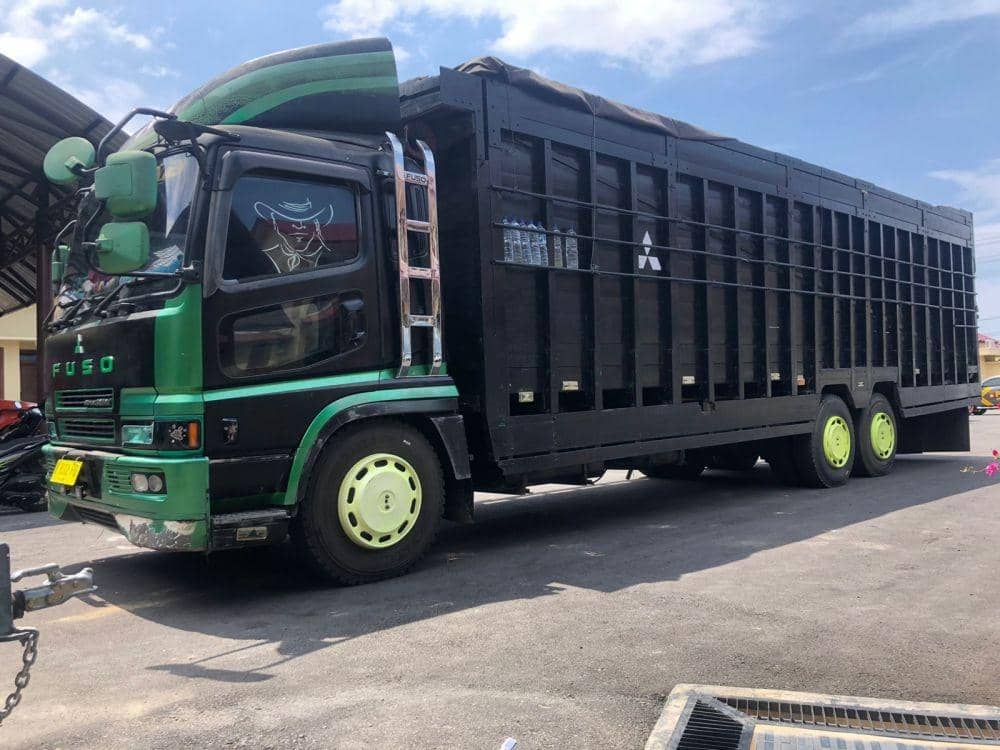 Truk tonron pengangkut 51 batang kayu gelondongan saat ditahan di Polres Langsa. (Dokumentasi Humas Polres Langsa untuk IDN Times)