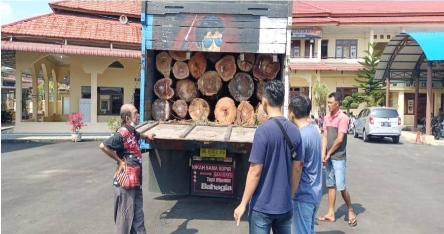 Polisi Tangkap Truk Tronton Bermuatan Puluhan Gelondongan Kayu