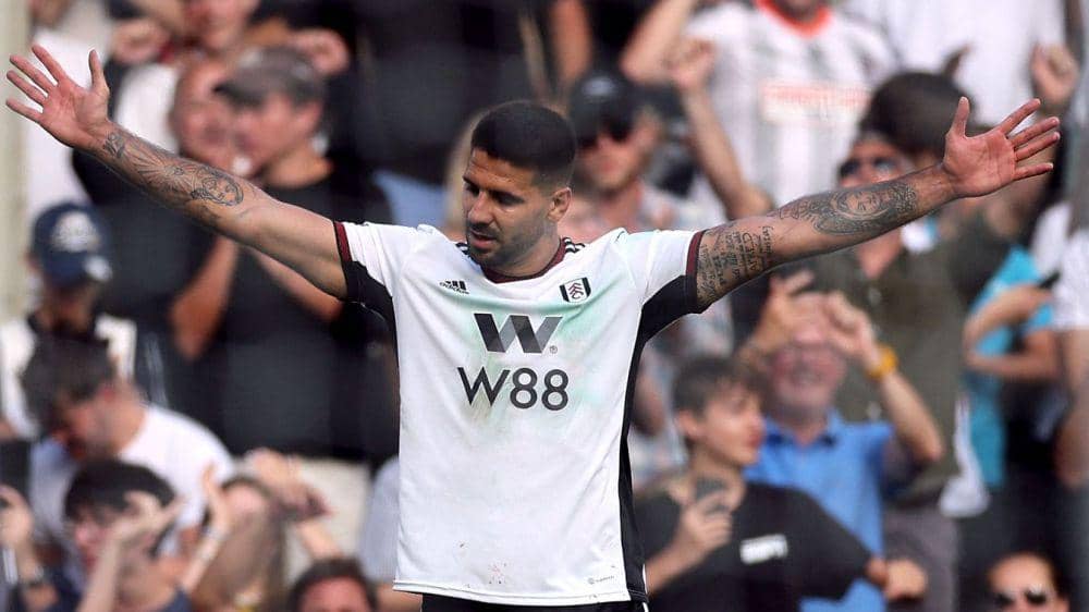 Aleksandar Mitrovic (premierleague.com)
