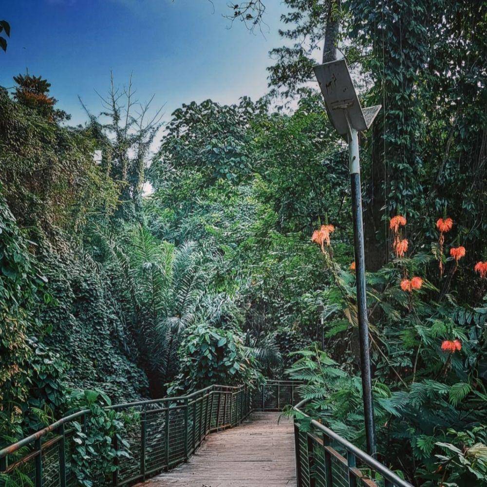 Forest Walk Babakan (instagram.com/andrysso)