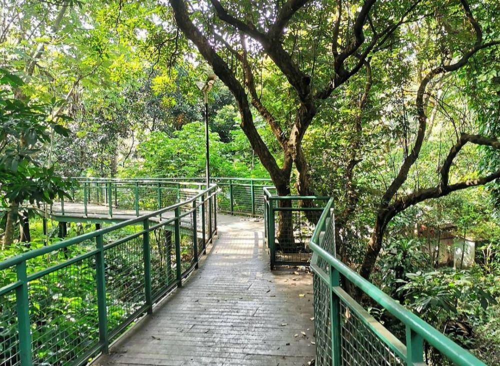 Forest Walk Babakan (instagram.com/gang_mtt)