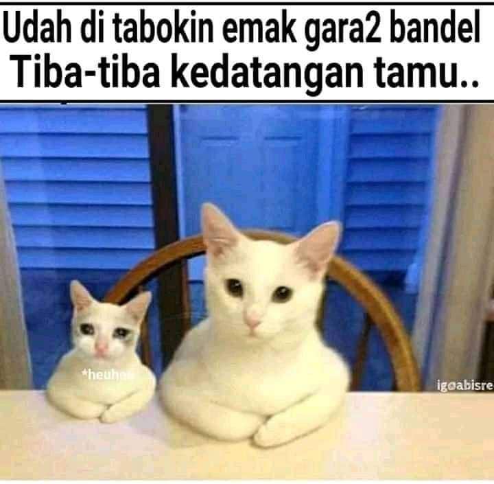 meme kocak saat kedatangan tamu (facebook.com/Nisa Azahari)