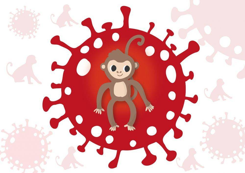 ilustrasi cacar monyet atau monkeypox (pixabay.com/Alexandra_Koch)