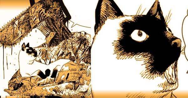 Denji menyelamatkan kucing dan menjadi terkenal (Dok. Shueisha / Chainsaw Man)