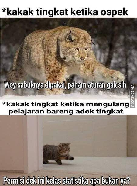 meme kakak tingkat (1cak.com)