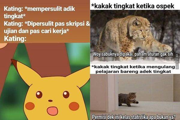 10 Meme Kocak Kakak Tingkat Ini Dijamin Bikin Para Junior Cekikikan