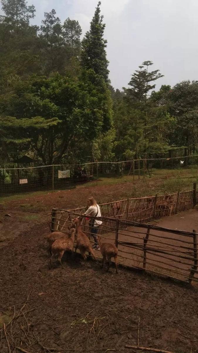 dok. pribadi/Annisa Listiana